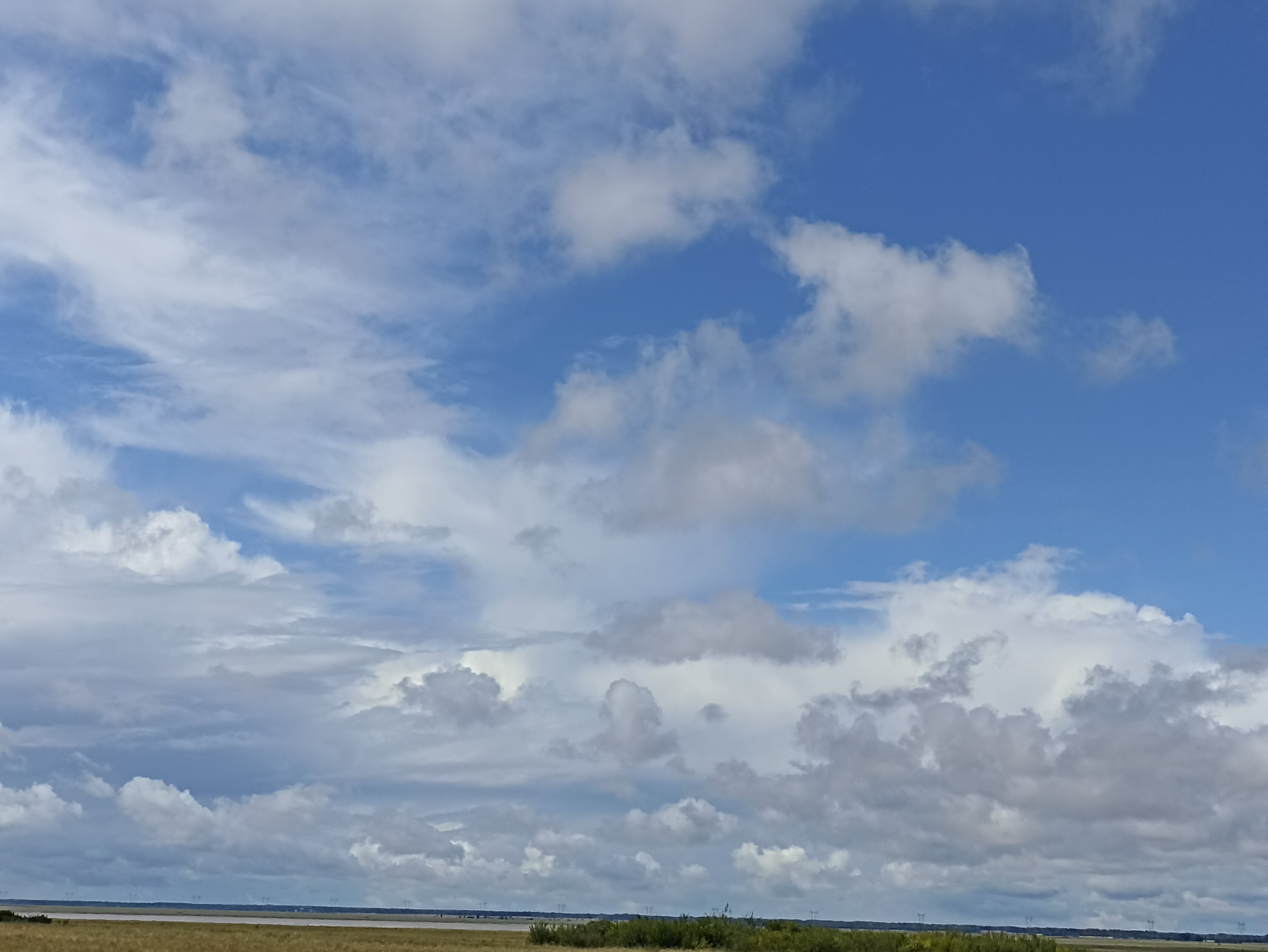 Фото Усадьба Гусли