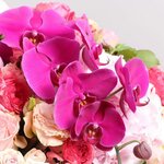 Flowers Square (Al Ghanam Building, Majaz 3, Al Majaz), flower shop