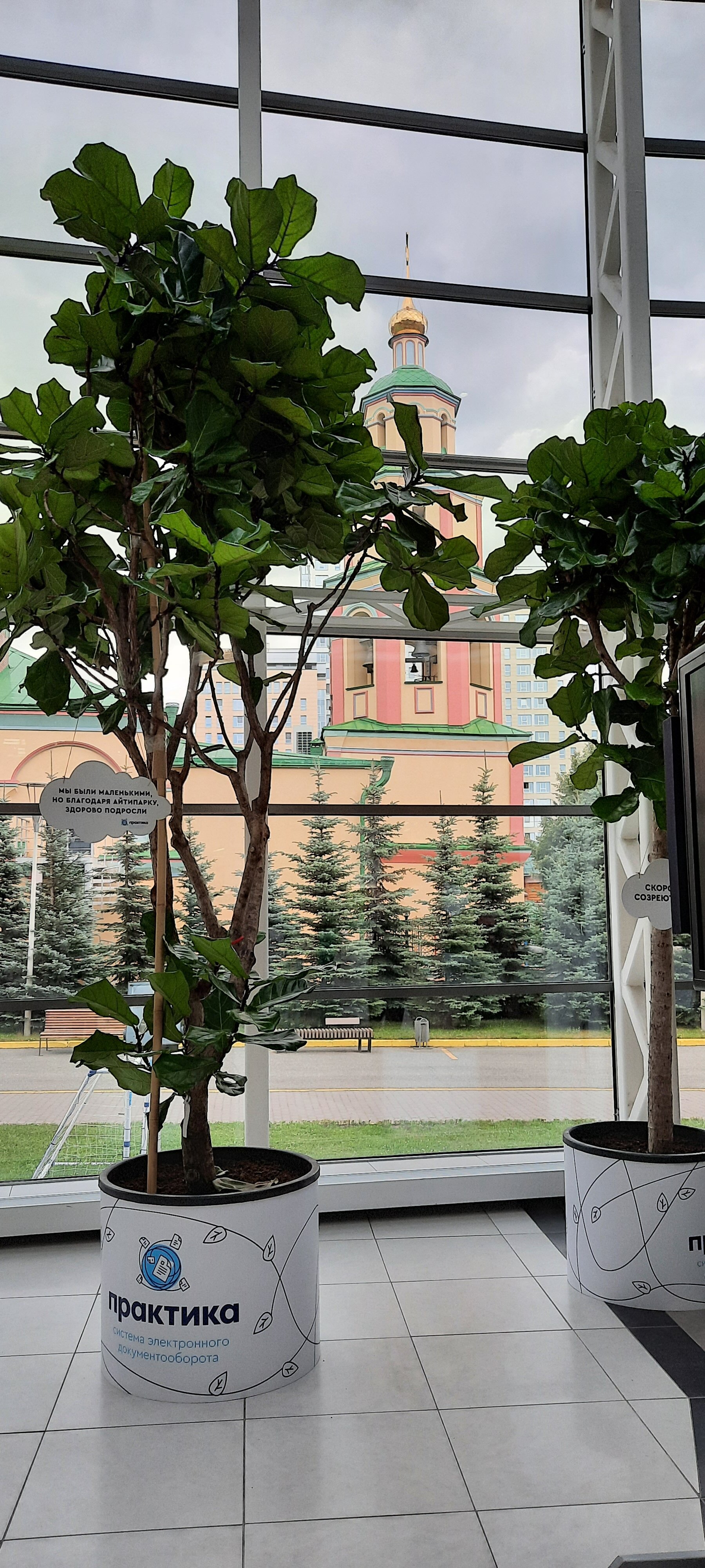 Фото ИТ-парк