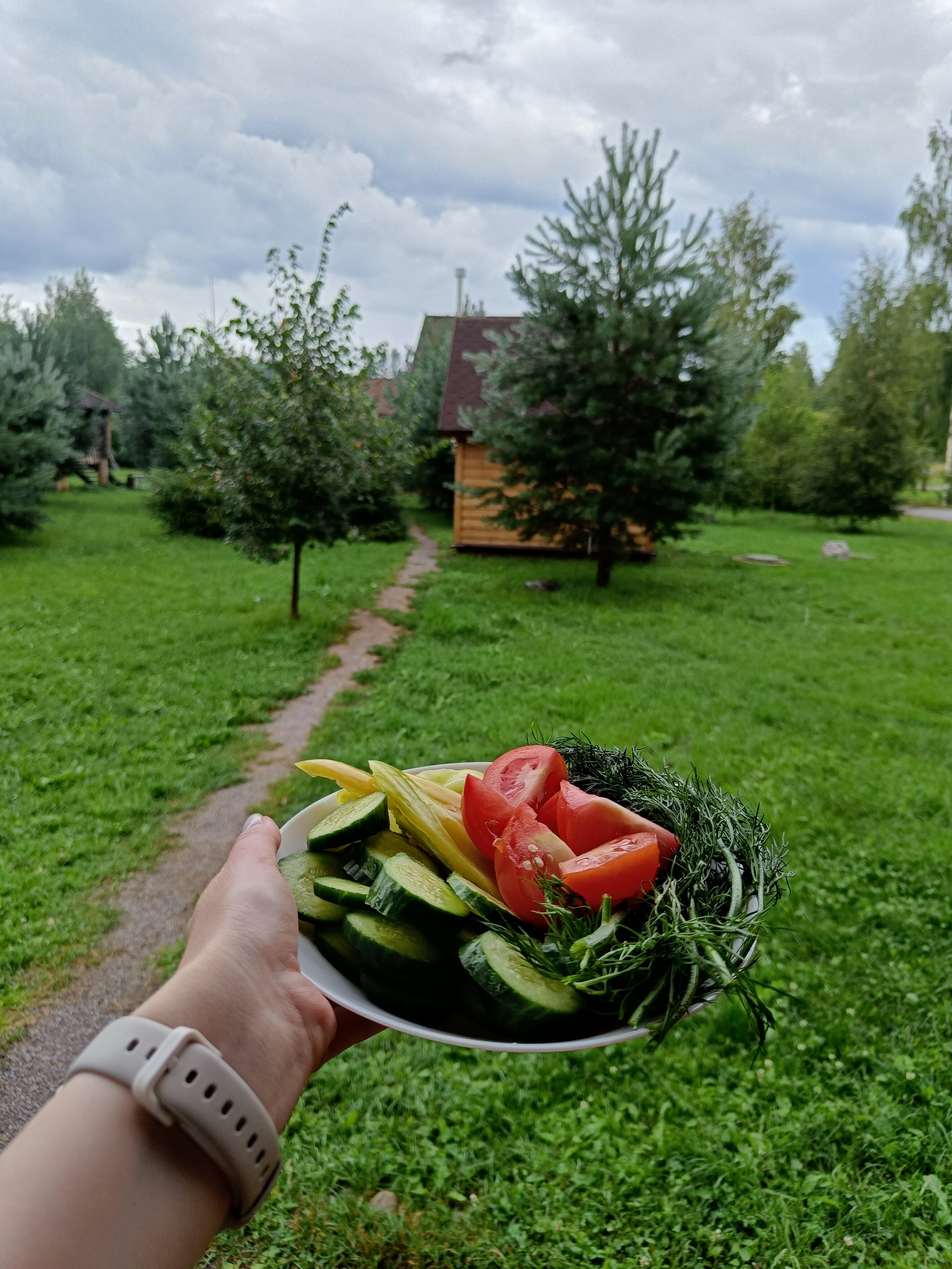 Фото Озерный берег