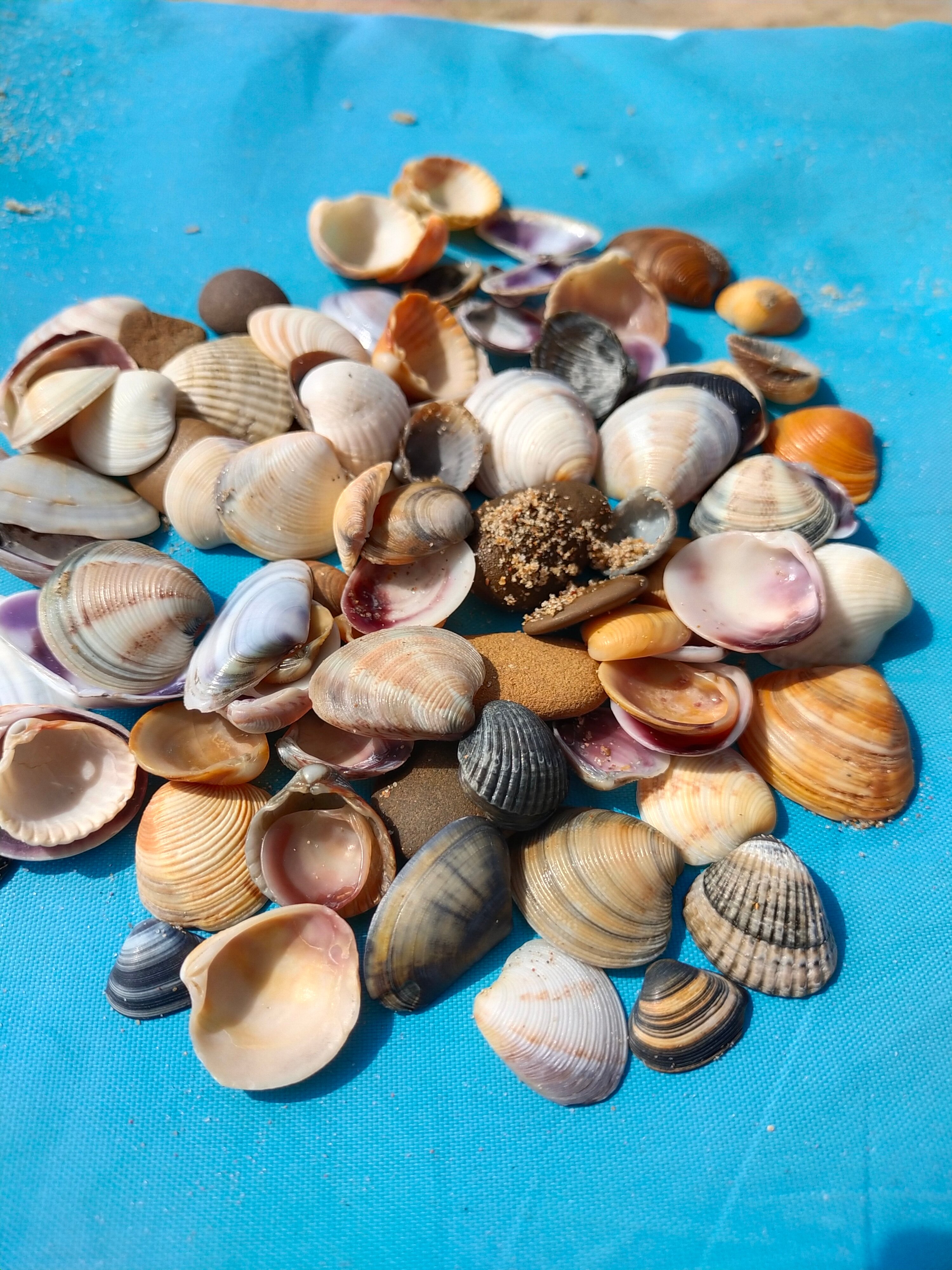 Фото Атлантик