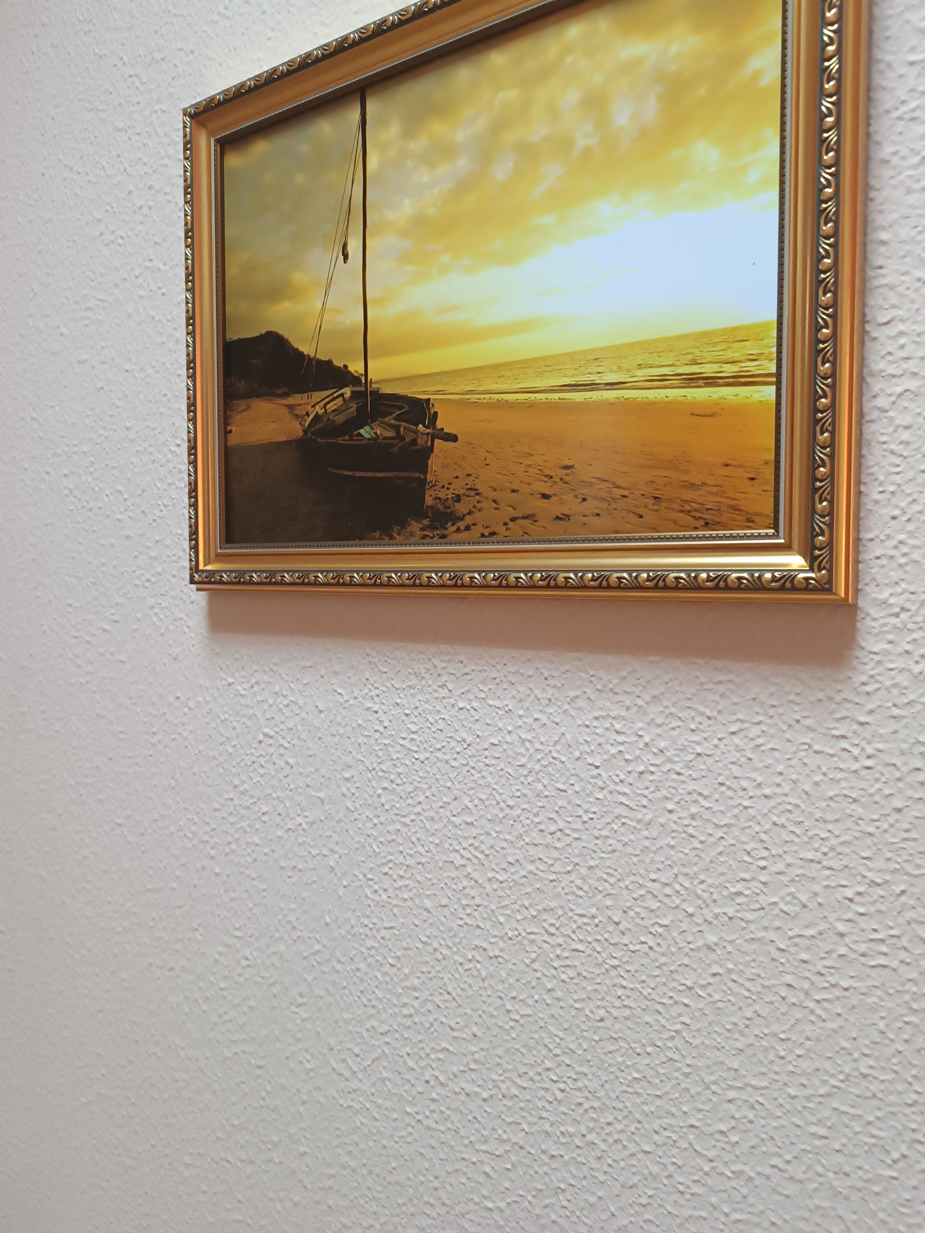 Фото Морская Звезда