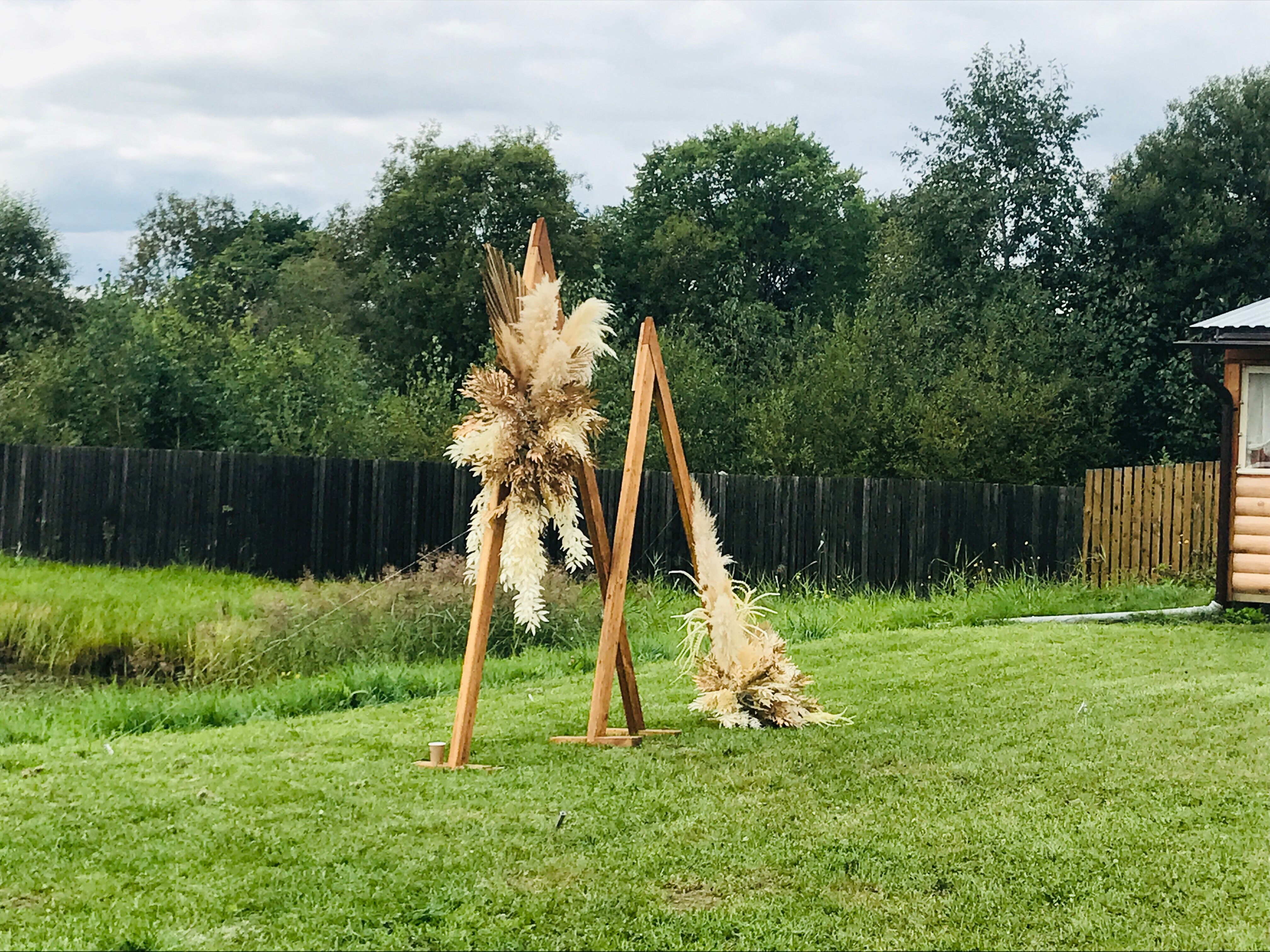 Фото Андога