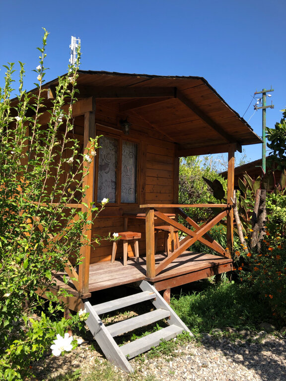 Фото Теремки