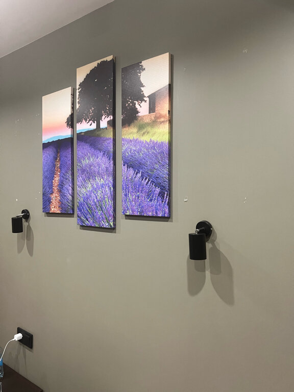 Фото Феникс