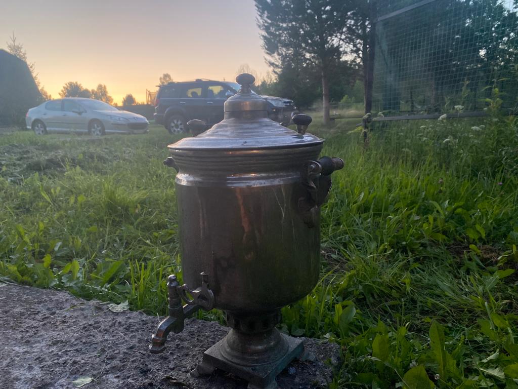 Фото Морошка