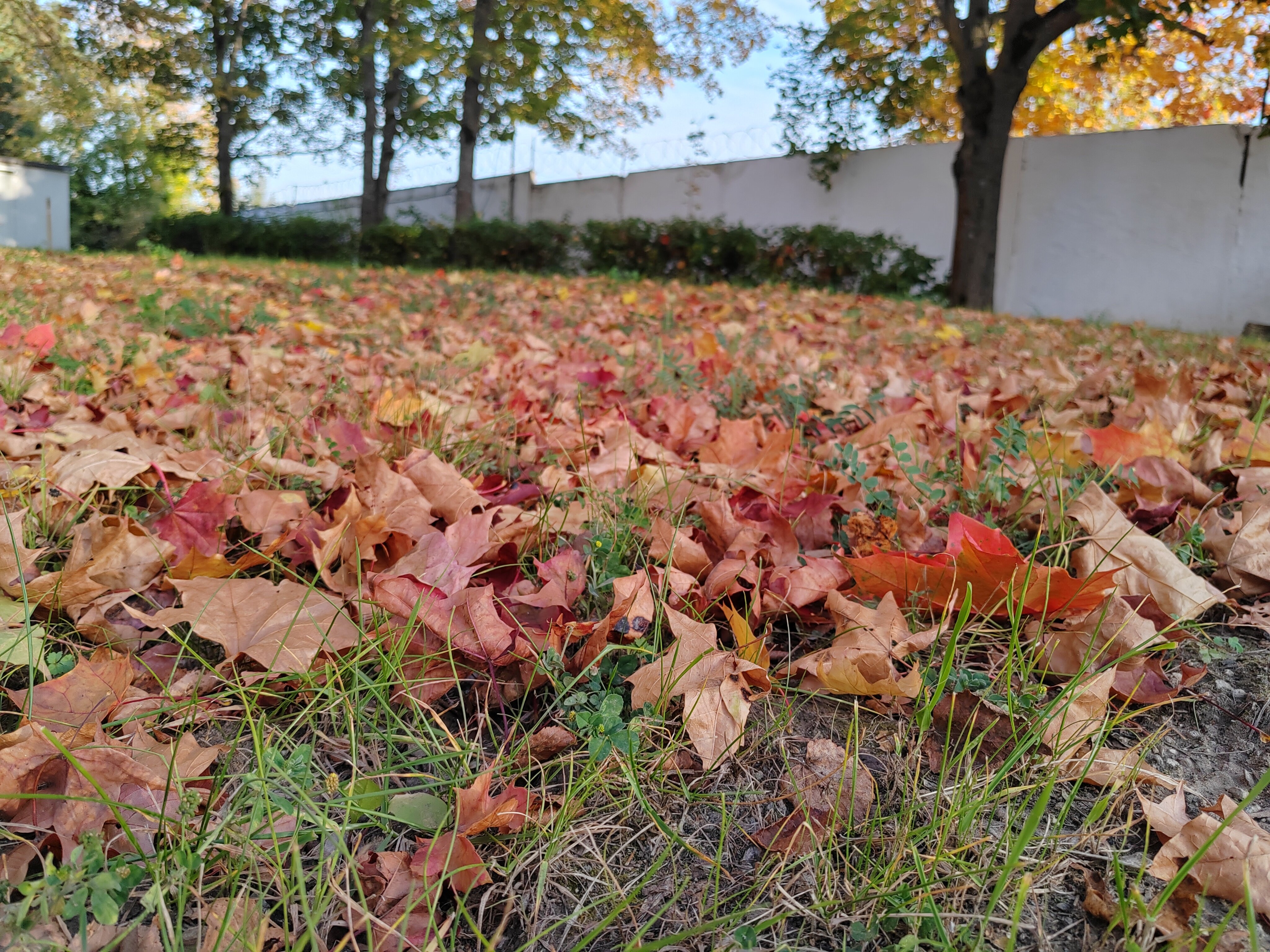 Фото S7 Hotel Bityagovo