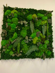 TrySomeGreen (Moscow, 2nd Baumanskaya Street, 9/23с3) ، المناظر الطبيعية للمباني