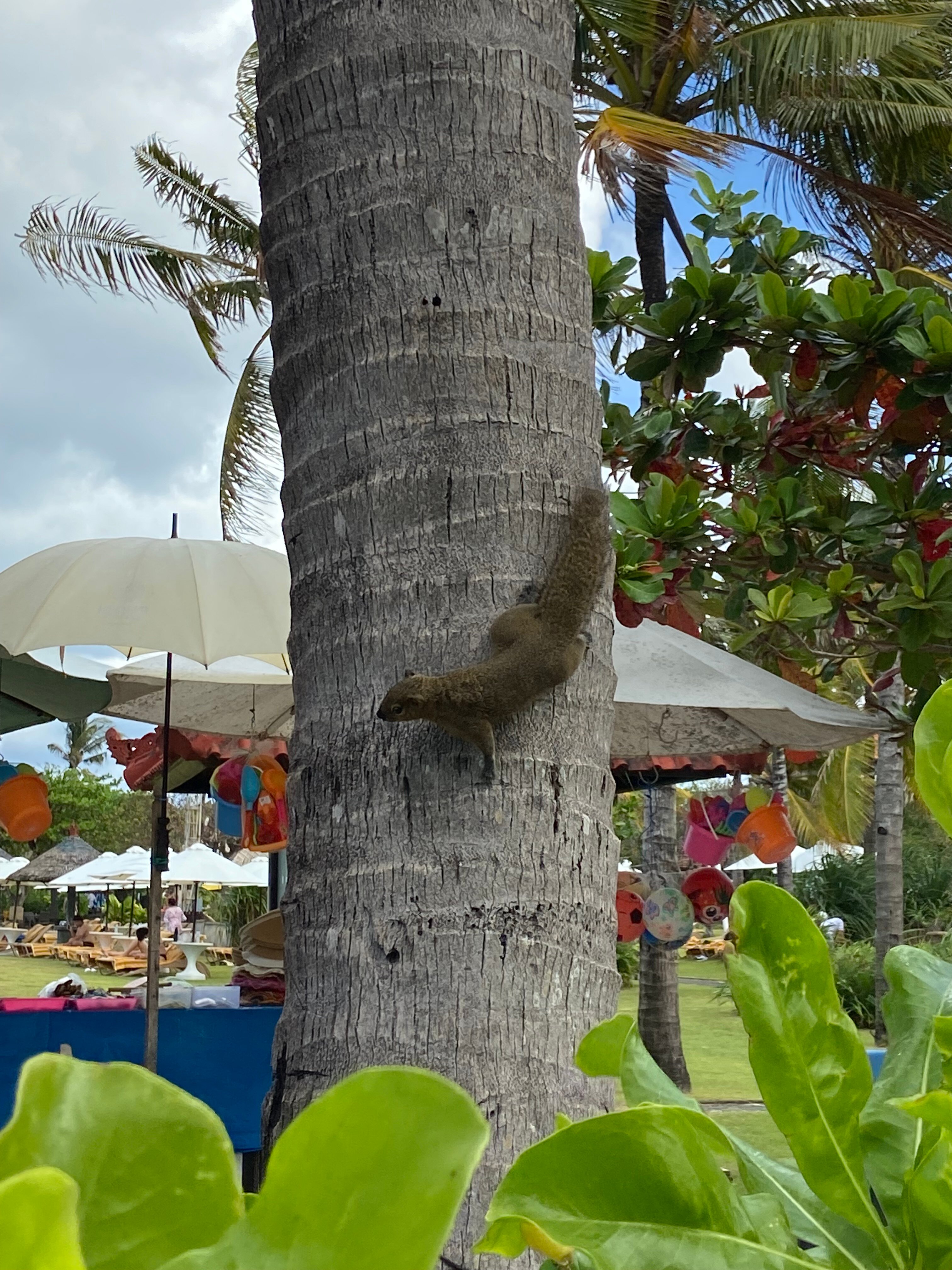 Фото Amarterra Villas Resort Bali Nusa Dua, Autograph Collection