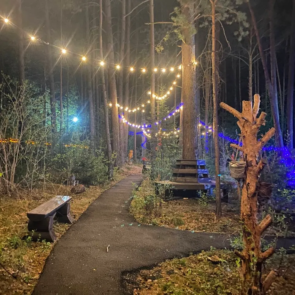 Фото Брусника