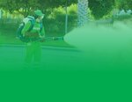 Eagle Environmental Services & Pest Control (43, Al Qahirah Street, W4, Abu Dhabi), disinfection, disinsection, deratization