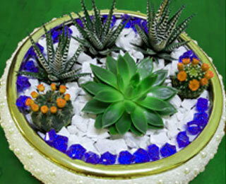 Garden center Oxy Green Plants, Dubai, photo