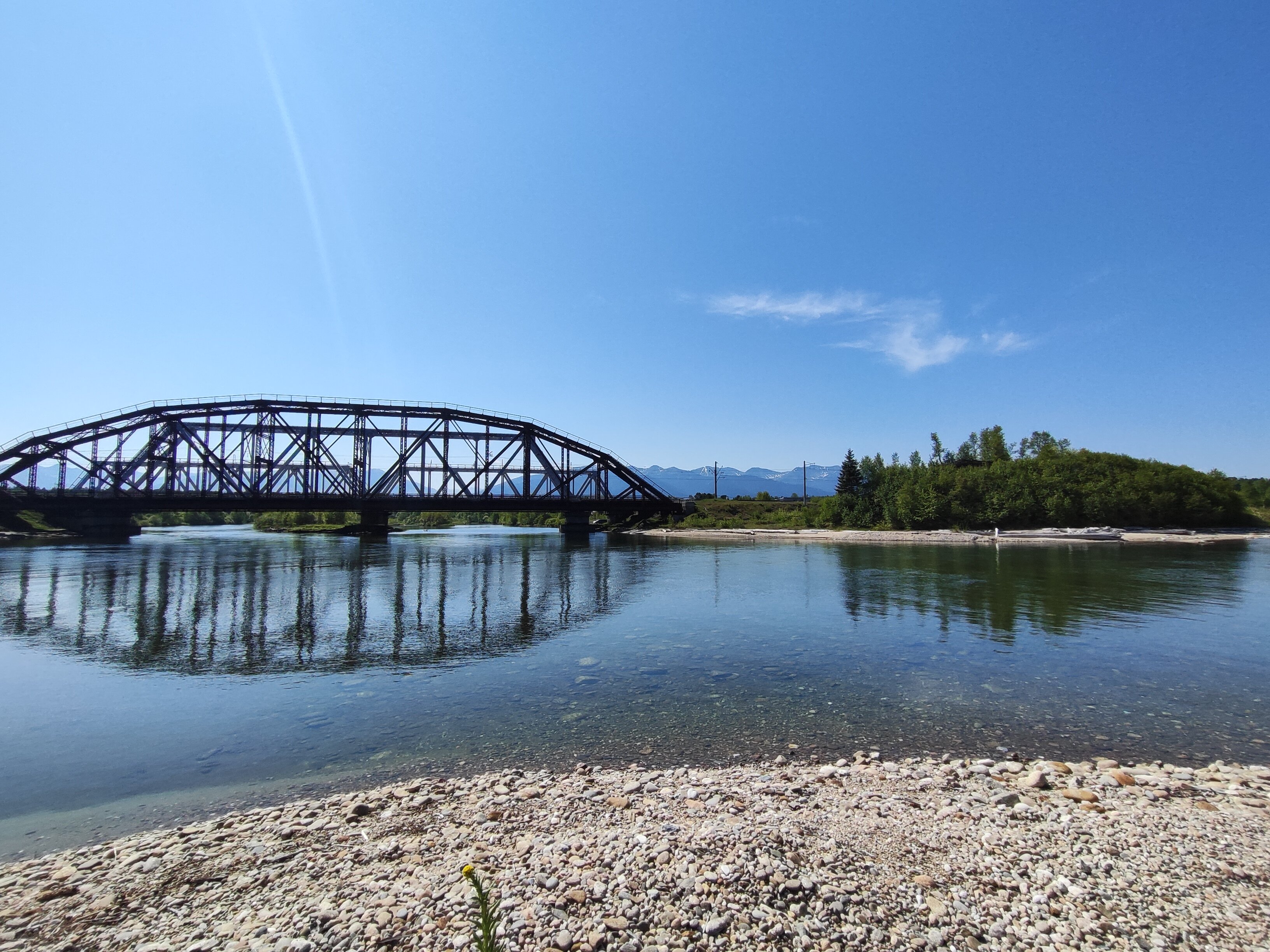 Фото Бурундуки