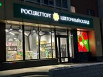 Росцветторг (prospekt Shakhtyorov, 97), floristeria