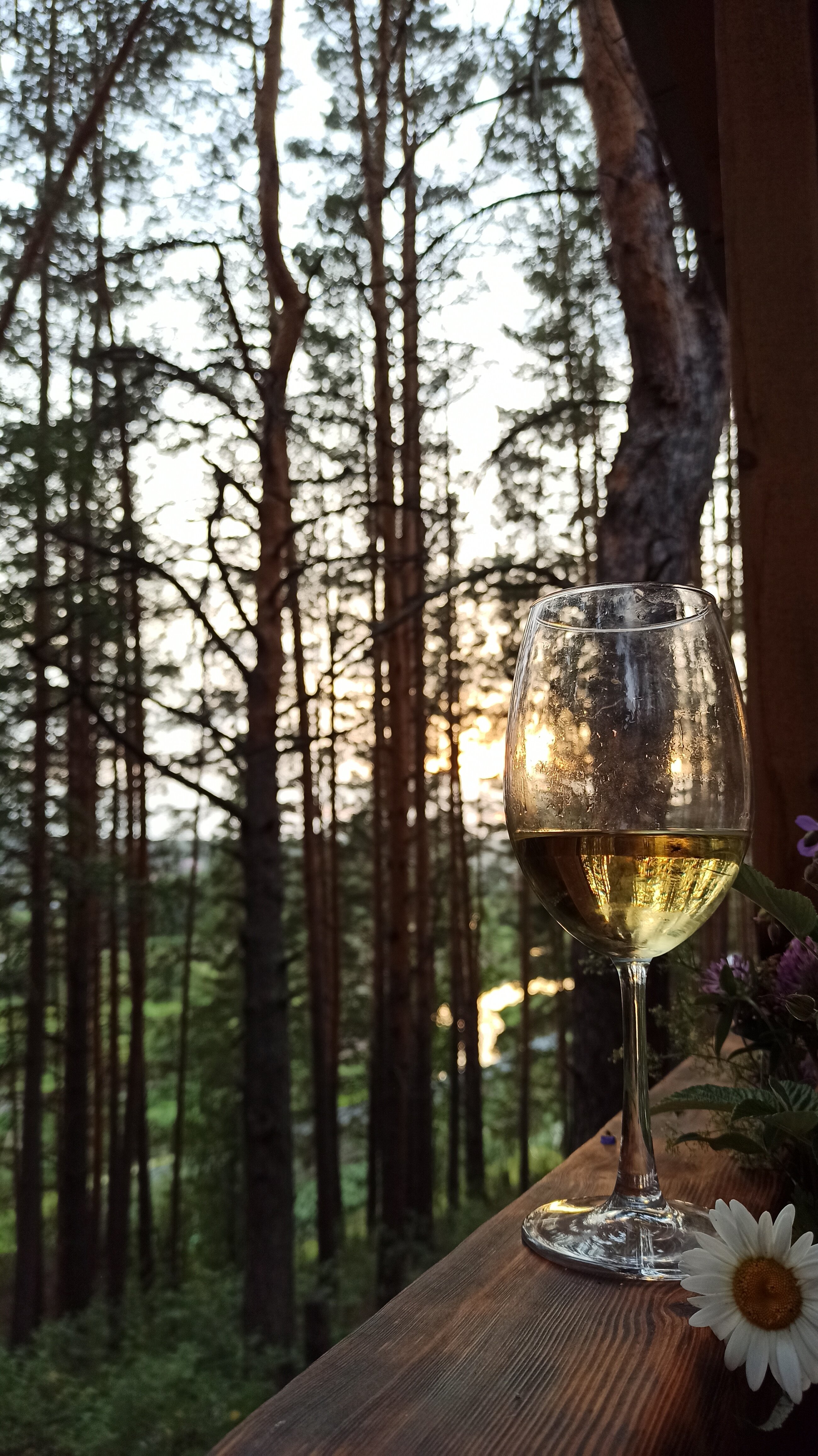 Фото Суеты. нет