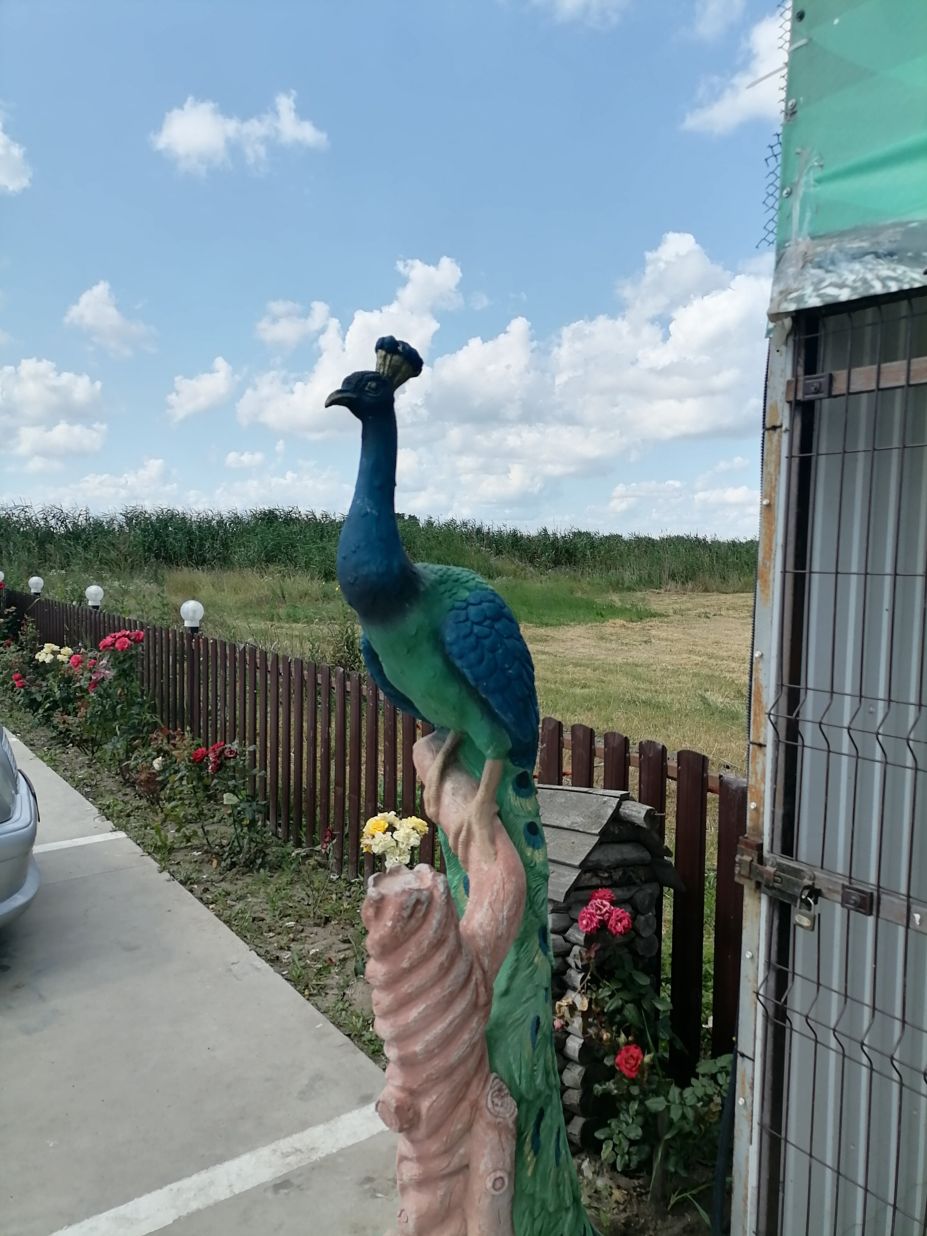 Фото Анастасиевская