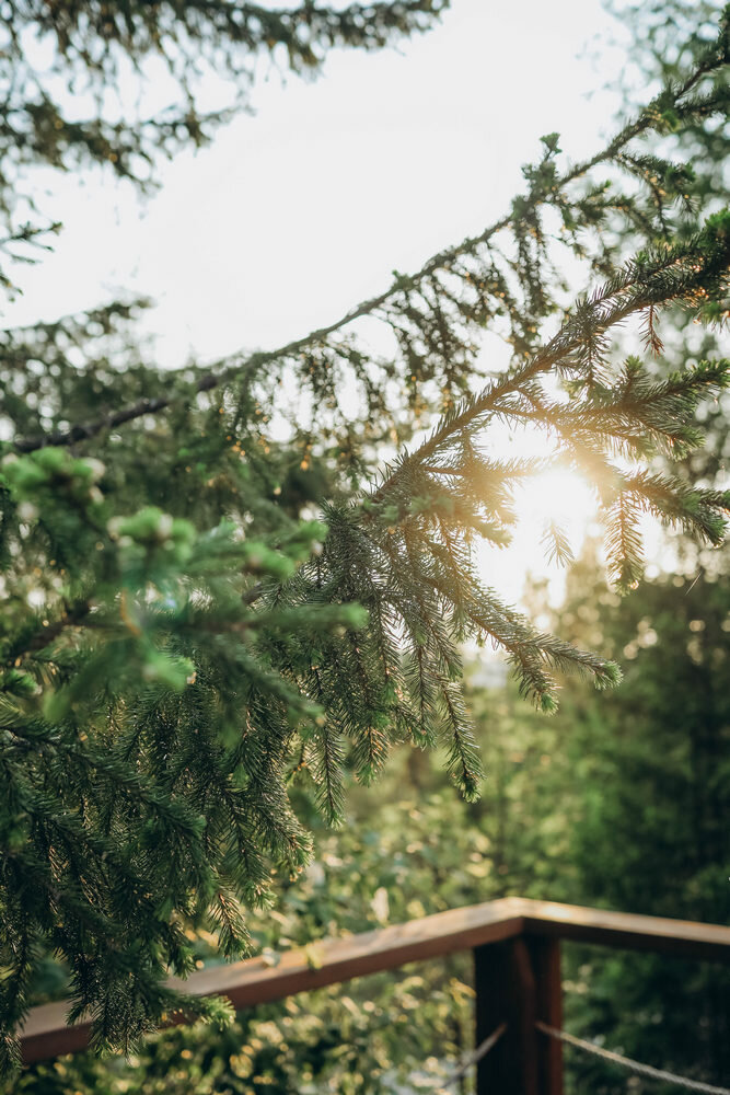 Фото Ладаглэмп