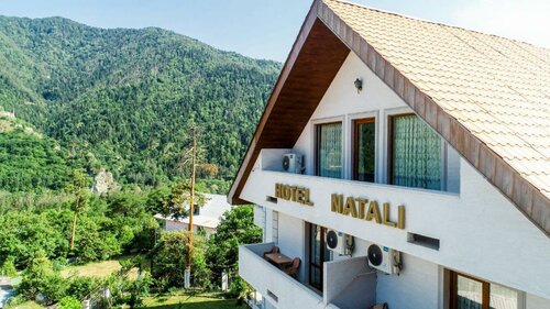 Гостиница Hotel Natali სასტუმრო ნატალი в Боржоми