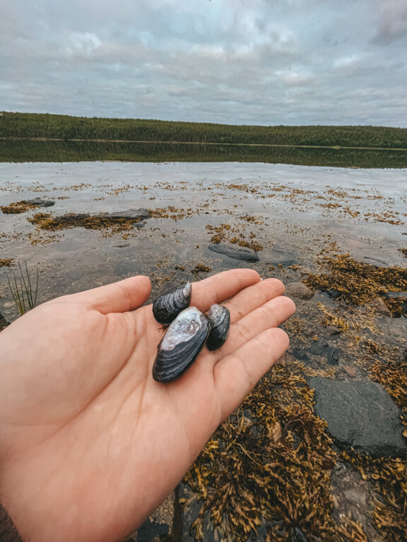 Фото Точка Притяжения