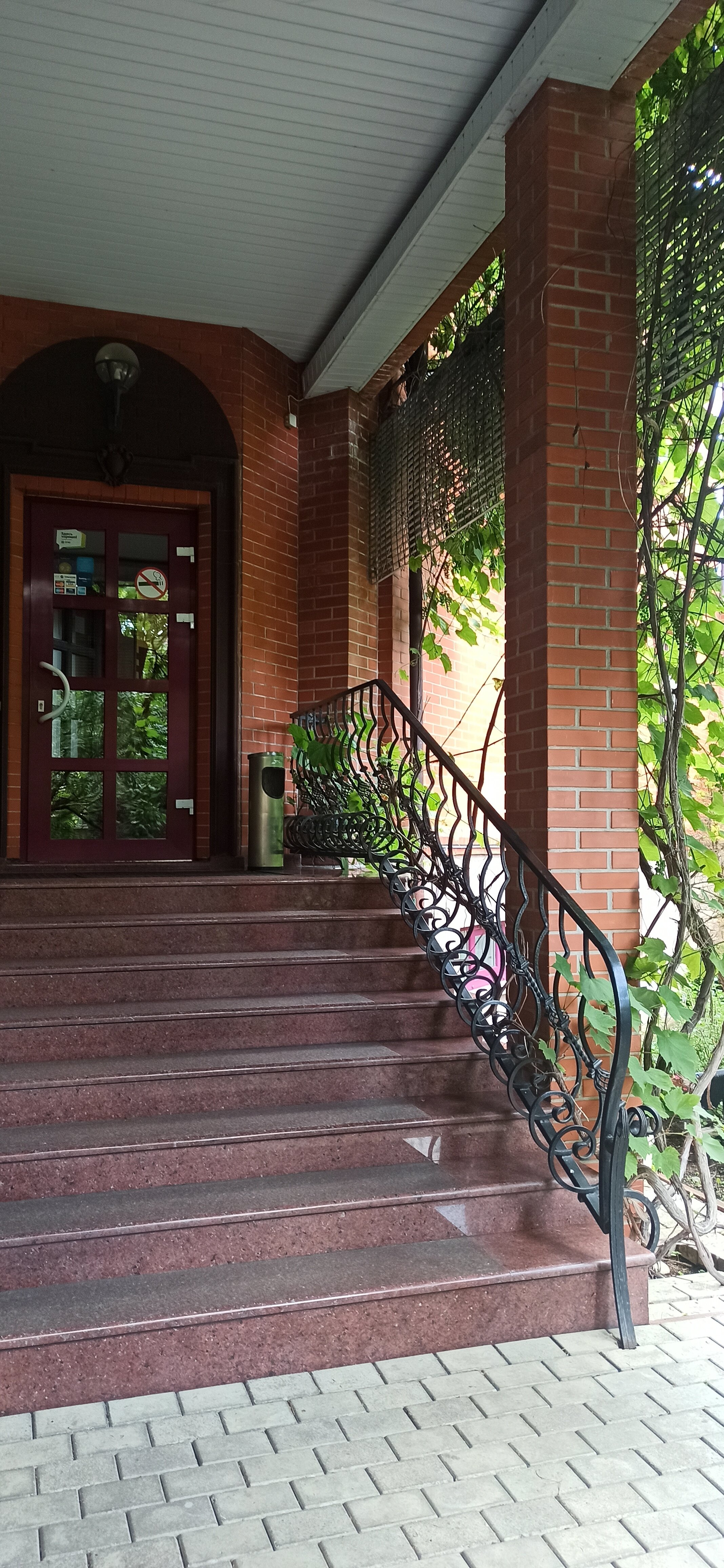 Фото Черепаха