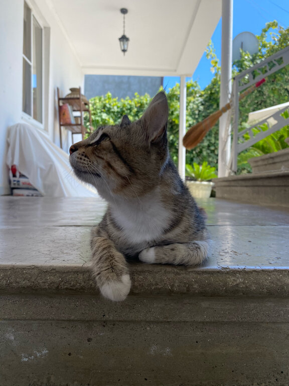 Фото Лермонтов