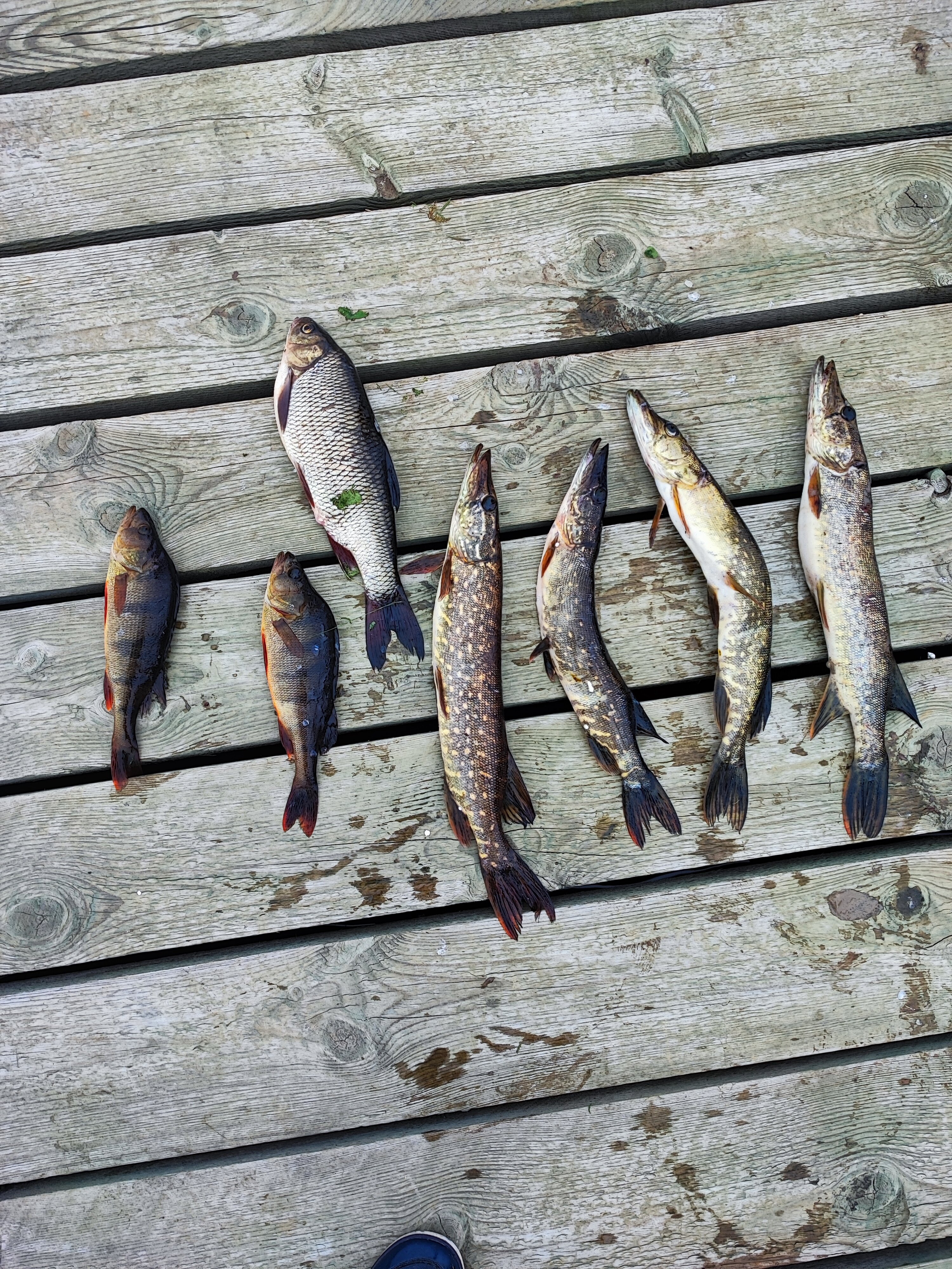 Фото Турбаза Сегозеро