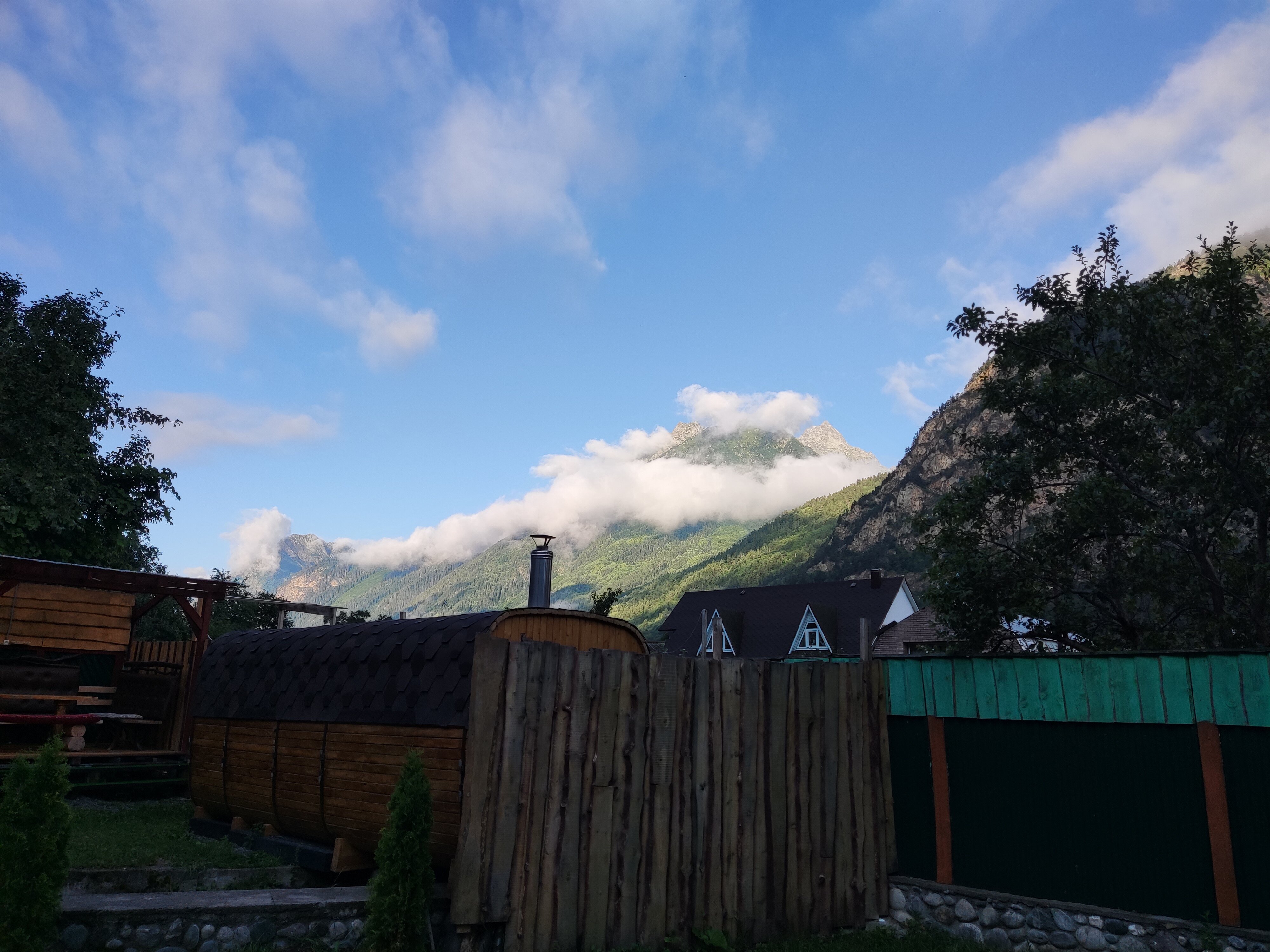 Фото Райские яблоки