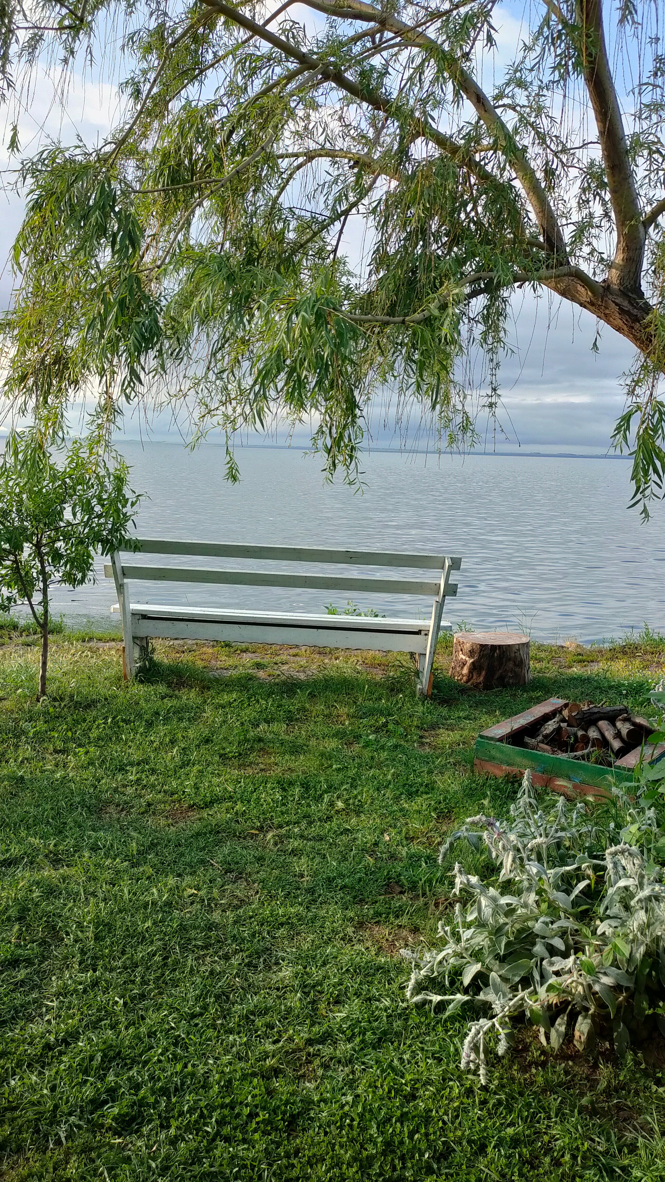 Фото Вилла 4 чайки