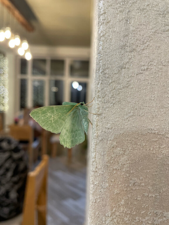 Фото Chalet Botash