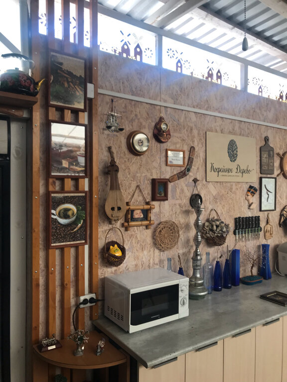 Фото Кофейное дерево