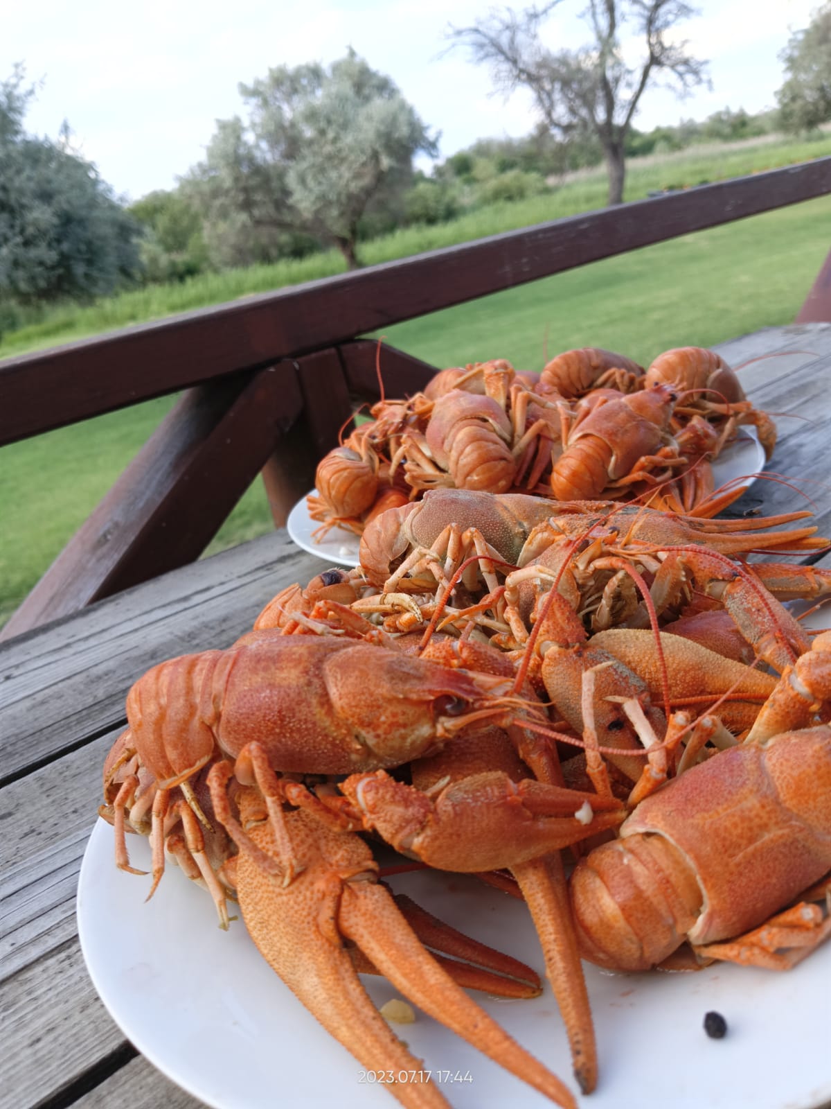 Фото Берлога