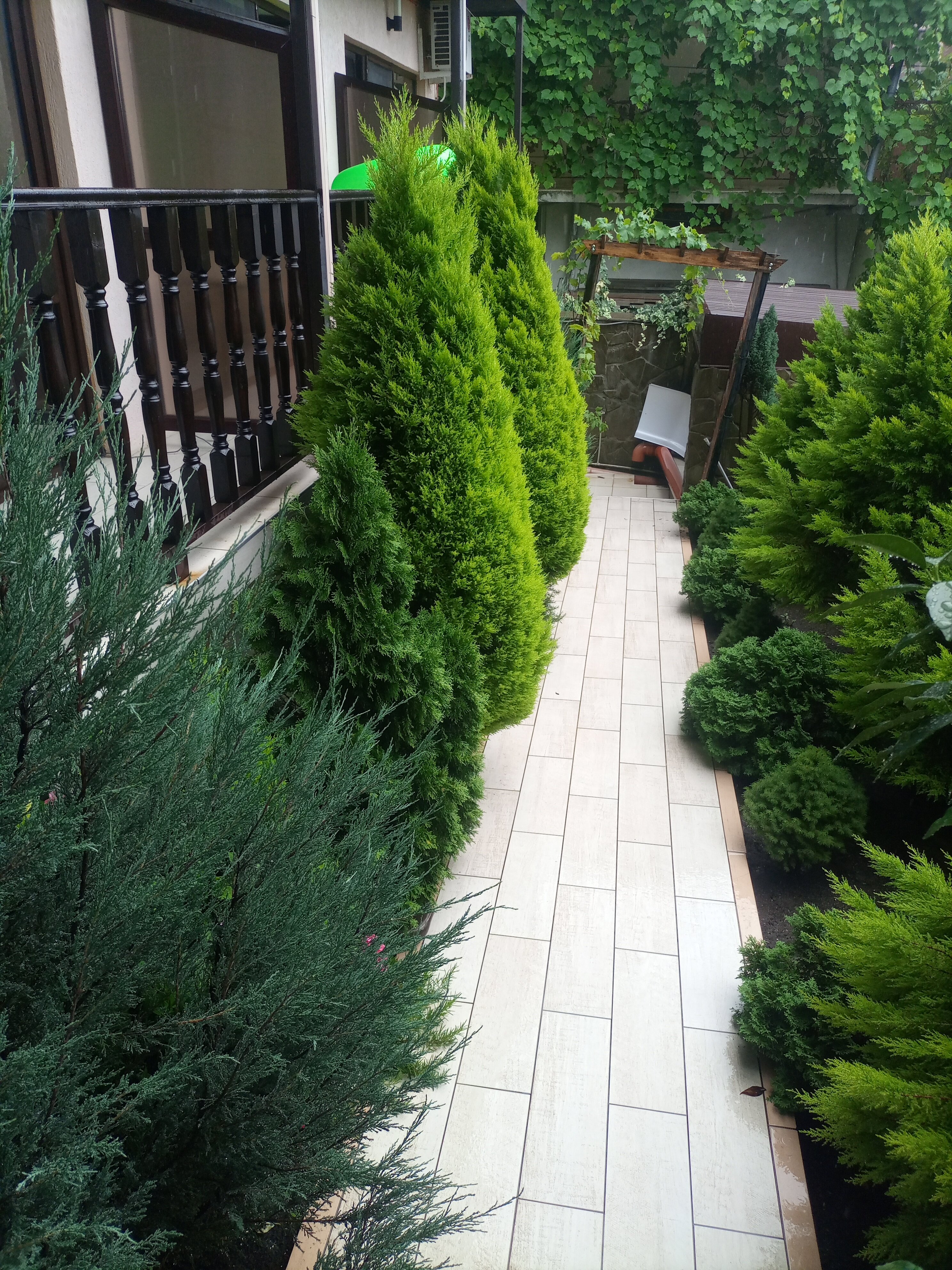 Фото Регалия