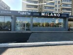 Buket bar (ulitsa Chkalova, 3/1) ، محل زهور