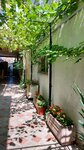 Ванилька