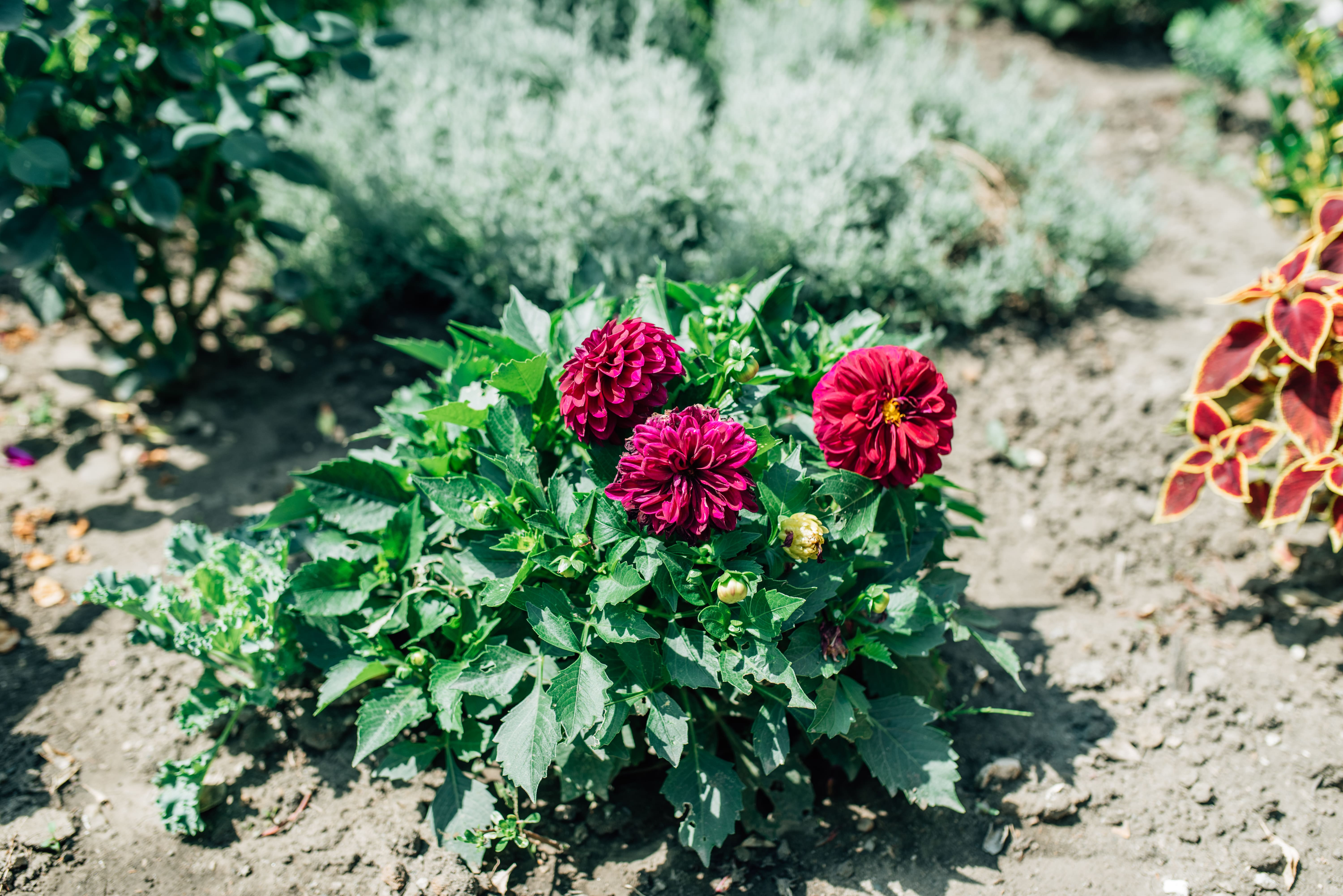 Фото Огни хаджоха