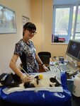 Veterinarius (Savushkina Street, 121к1), courses and master classes