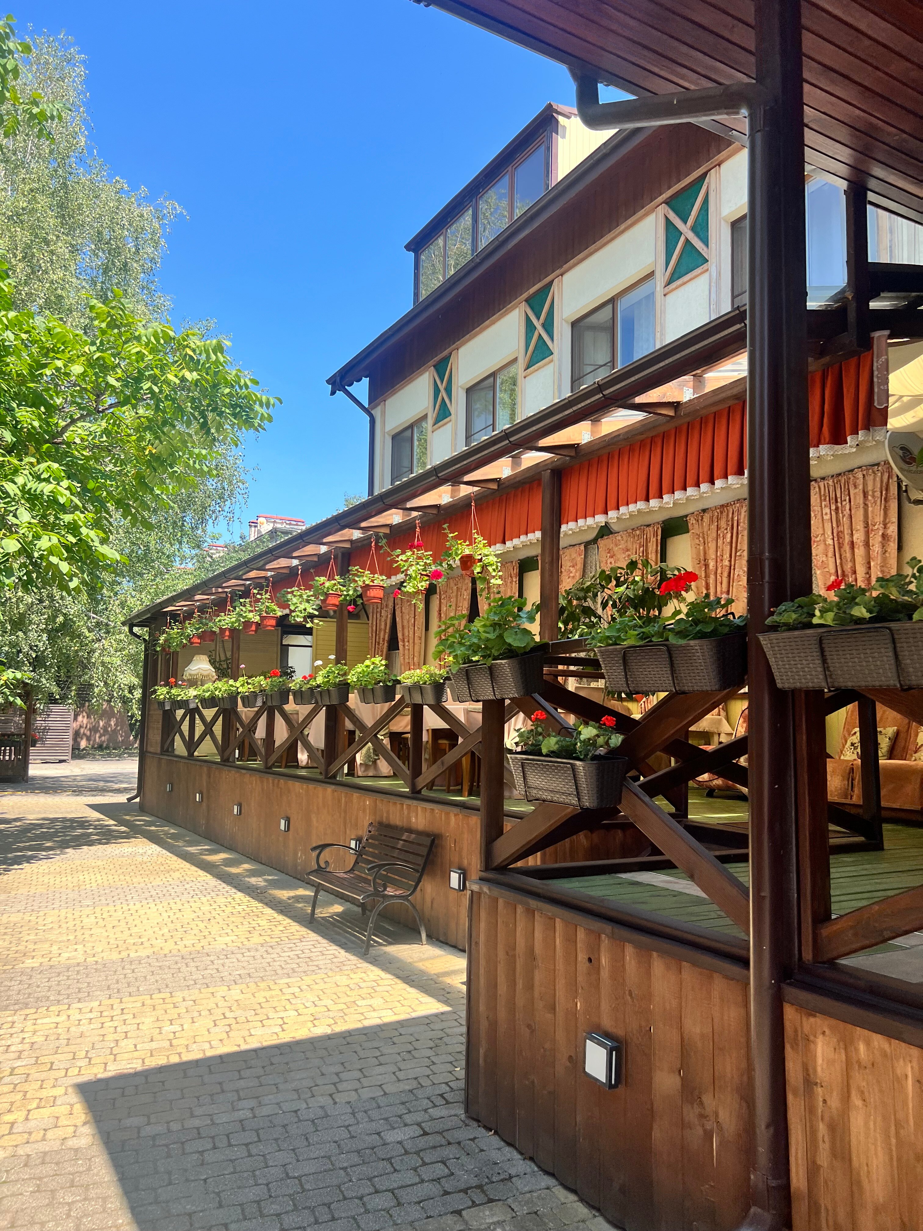 Фото Березки