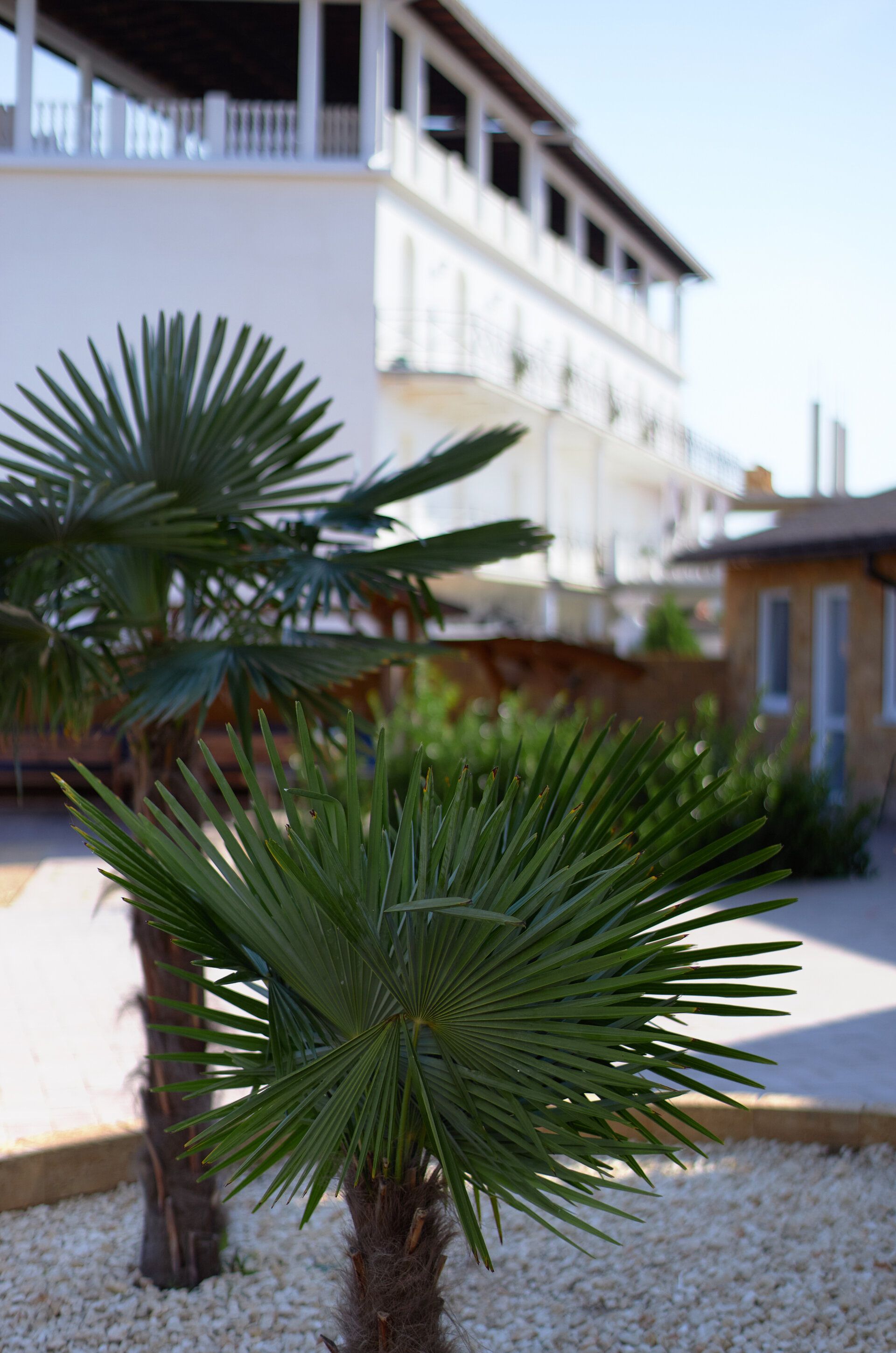 Фото отеля 2