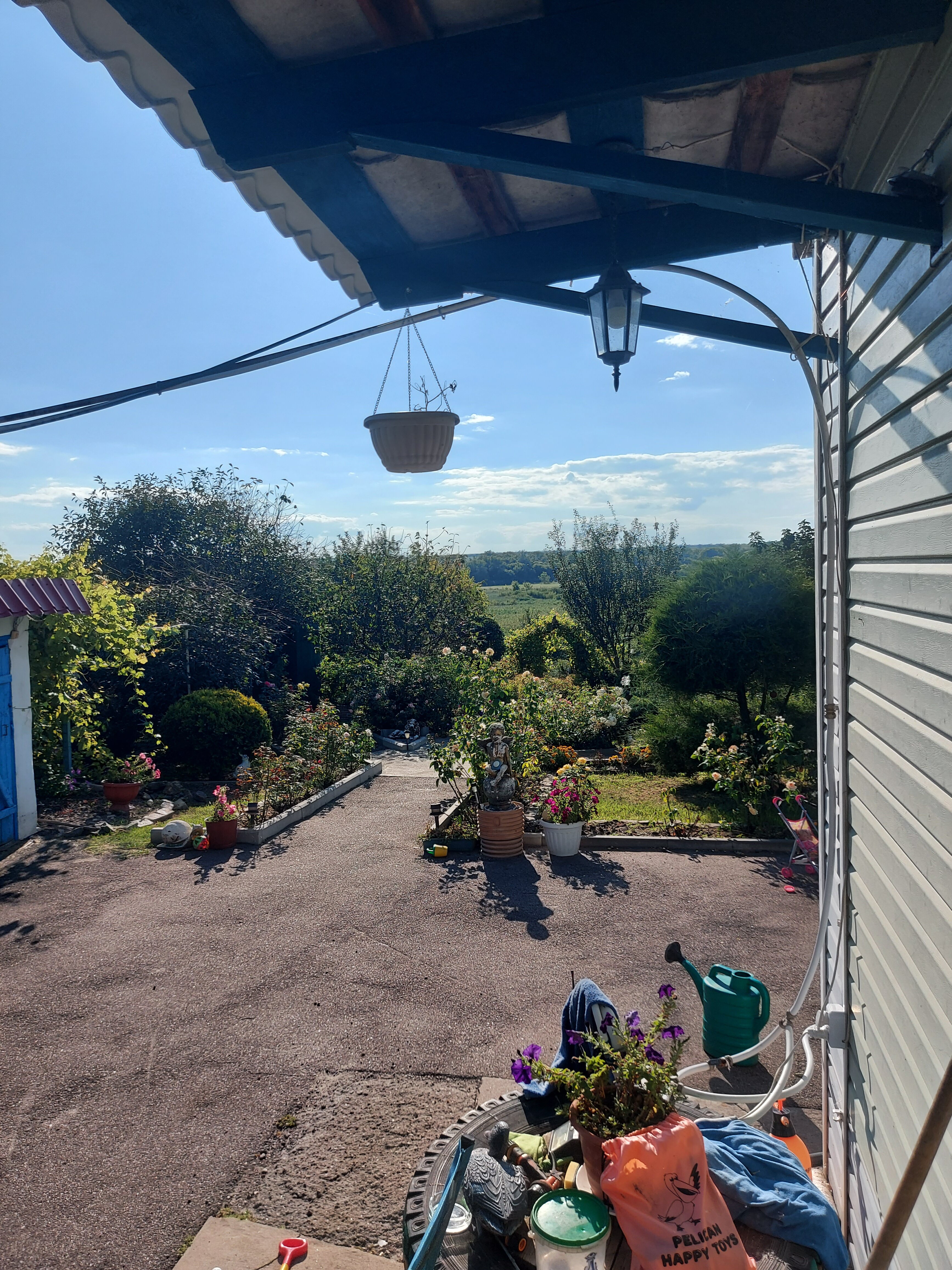 Фото Ивушка