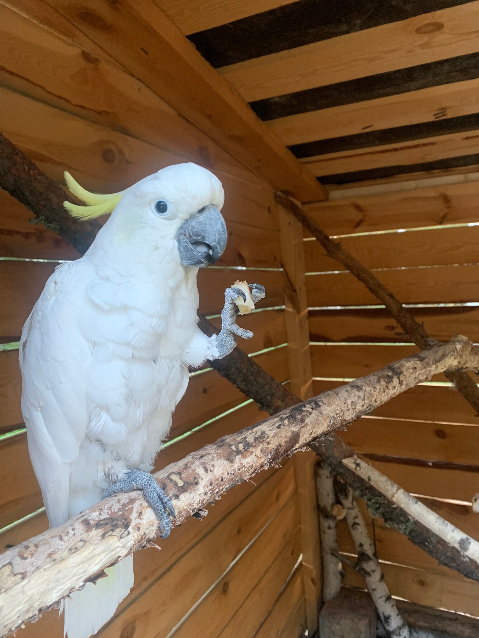 Фото Евразия