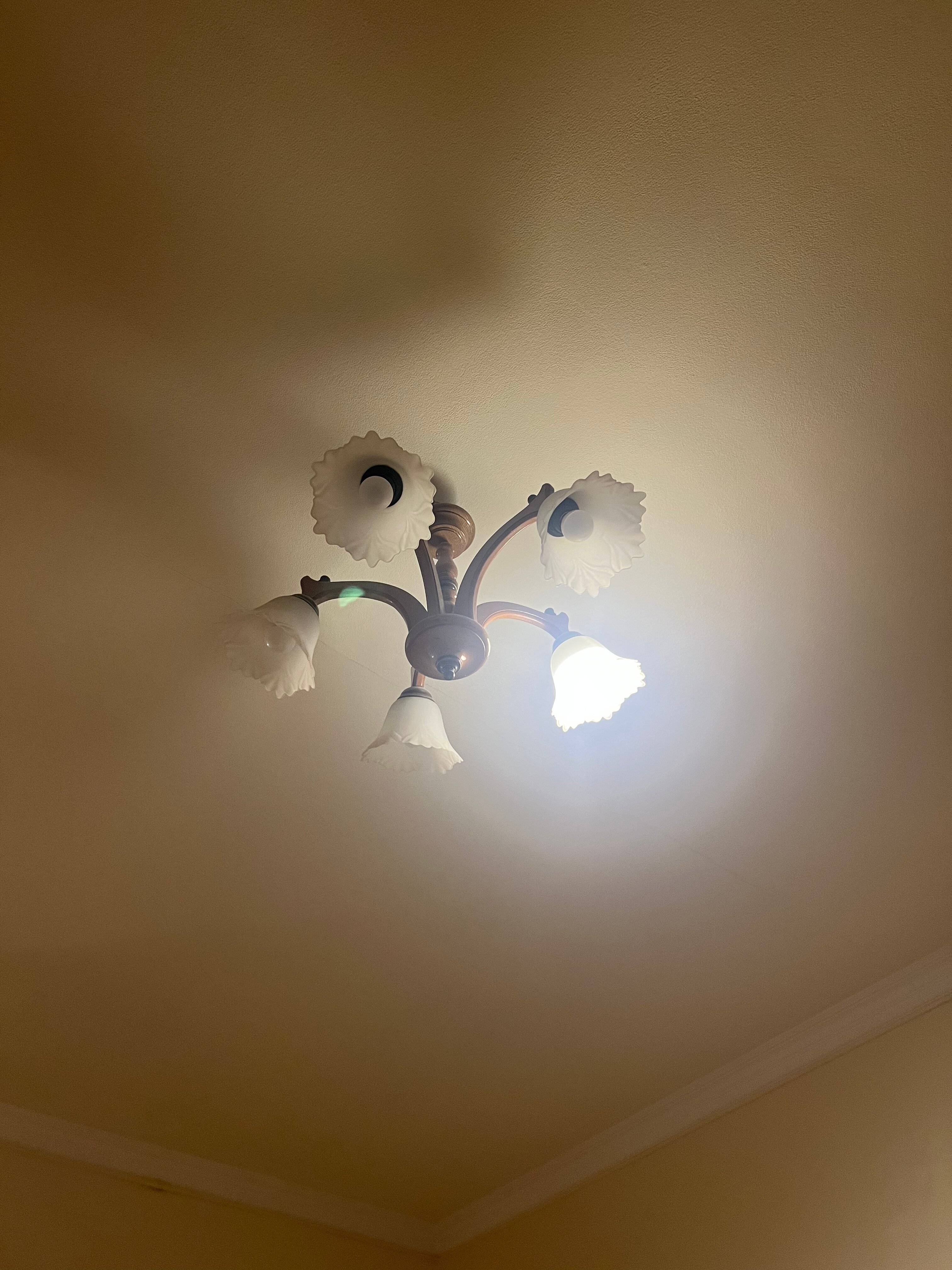 Фото Версаль