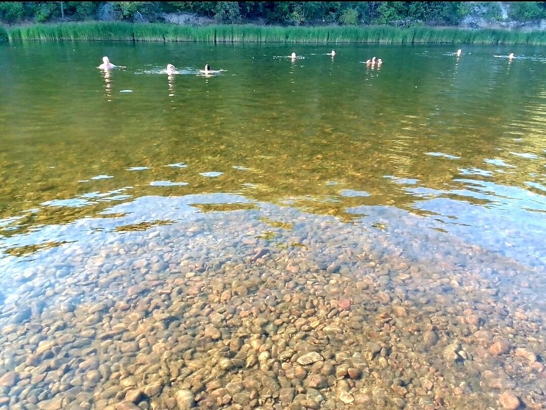 Фото Баш Улей