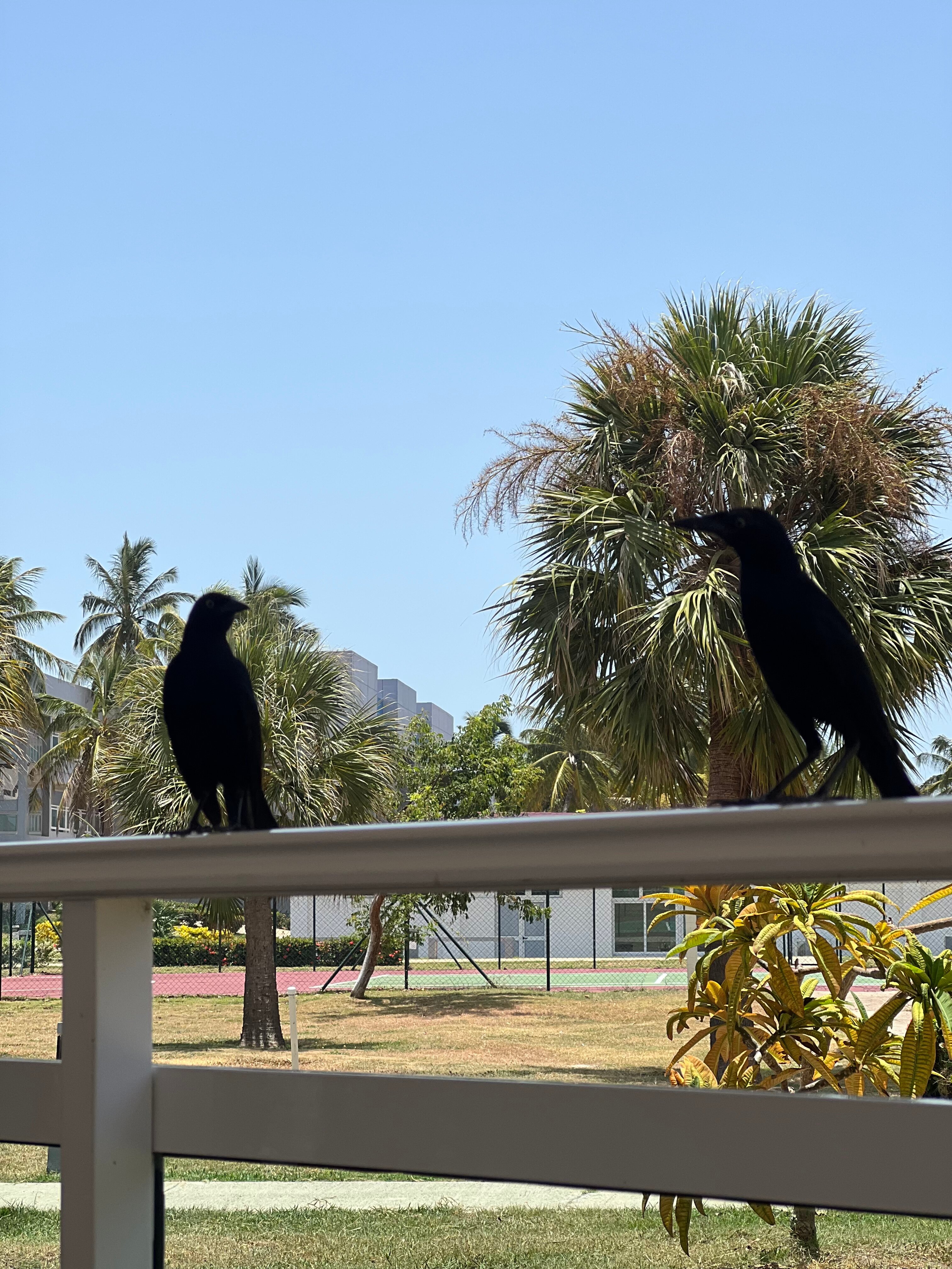 Фото Sol Varadero Beach