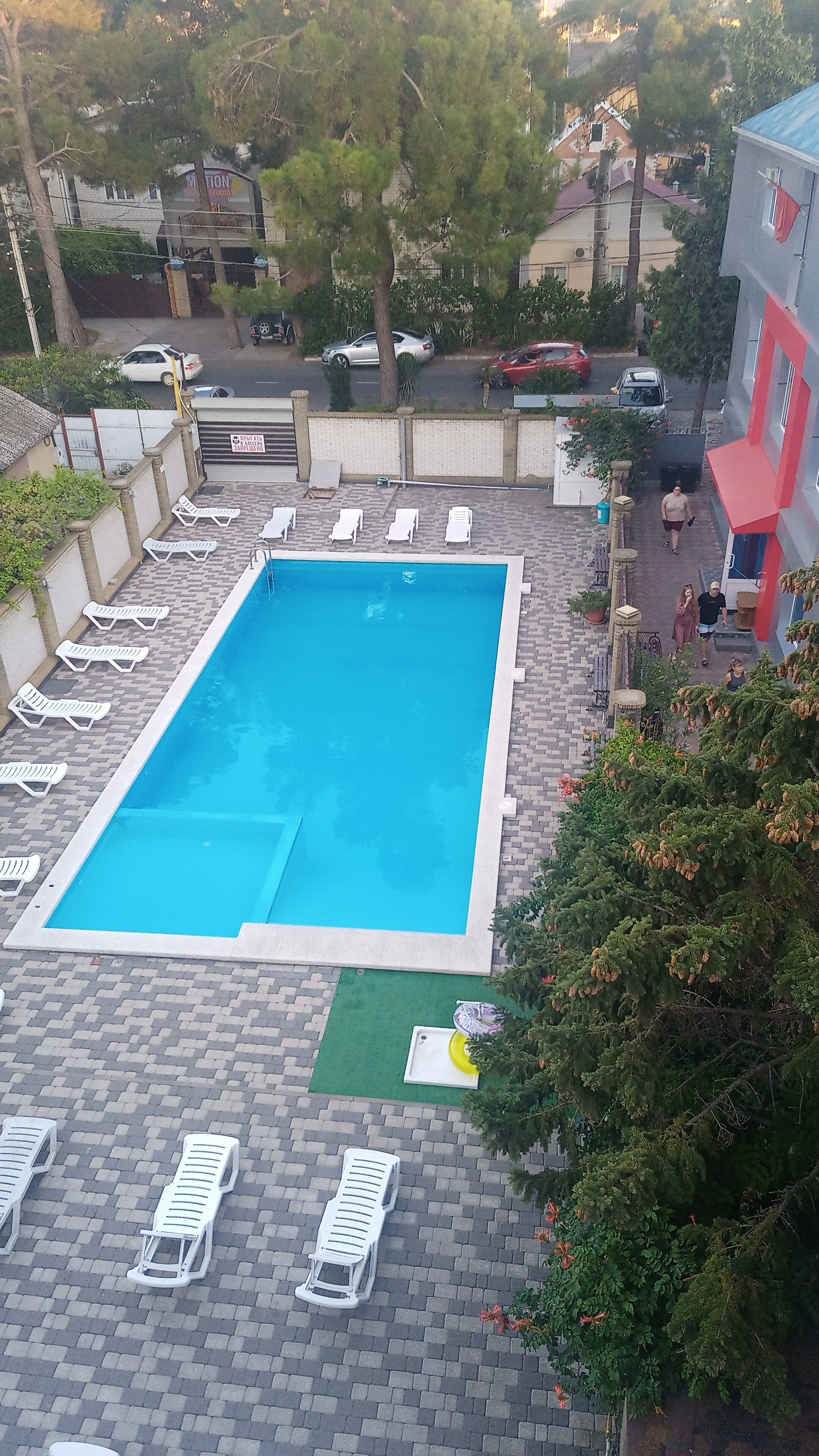 Фото Тополь