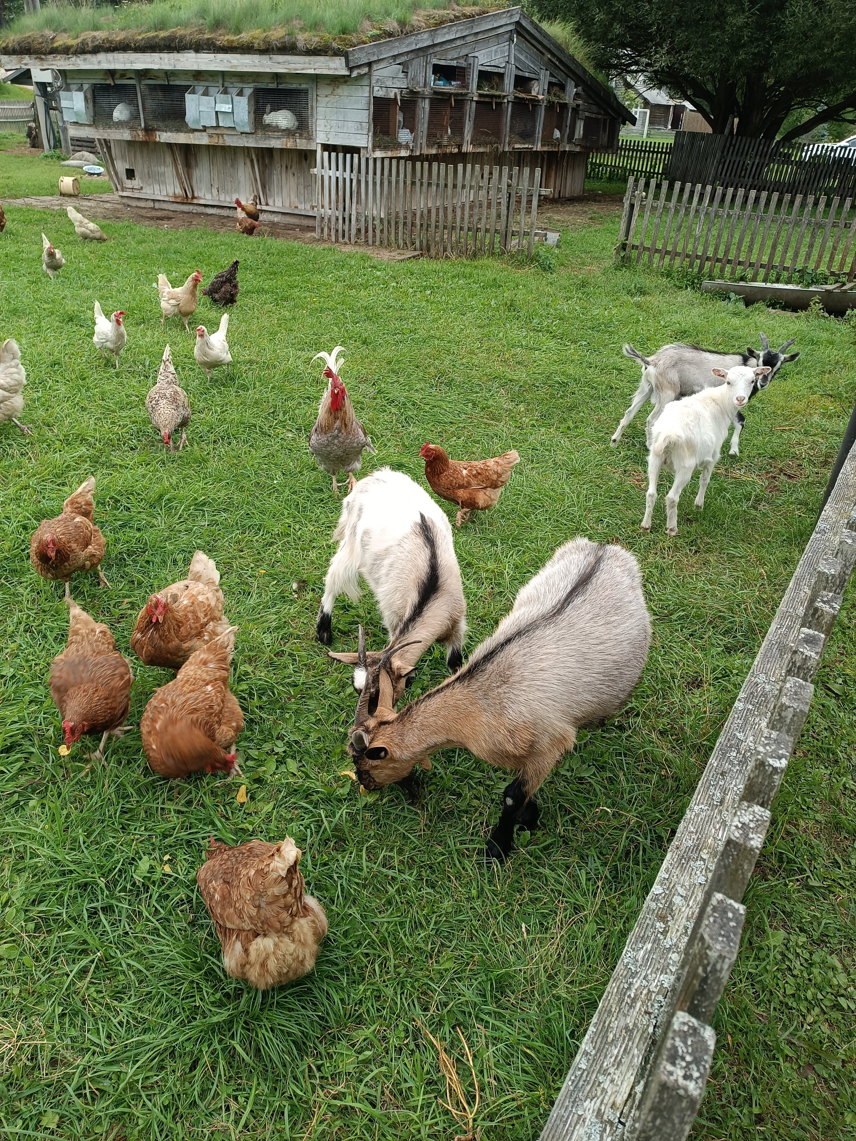 Фото Экотель