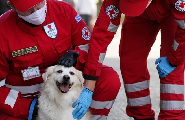 Organización pública International Federation Of Red Cross & Red Crescent Societies, , foto