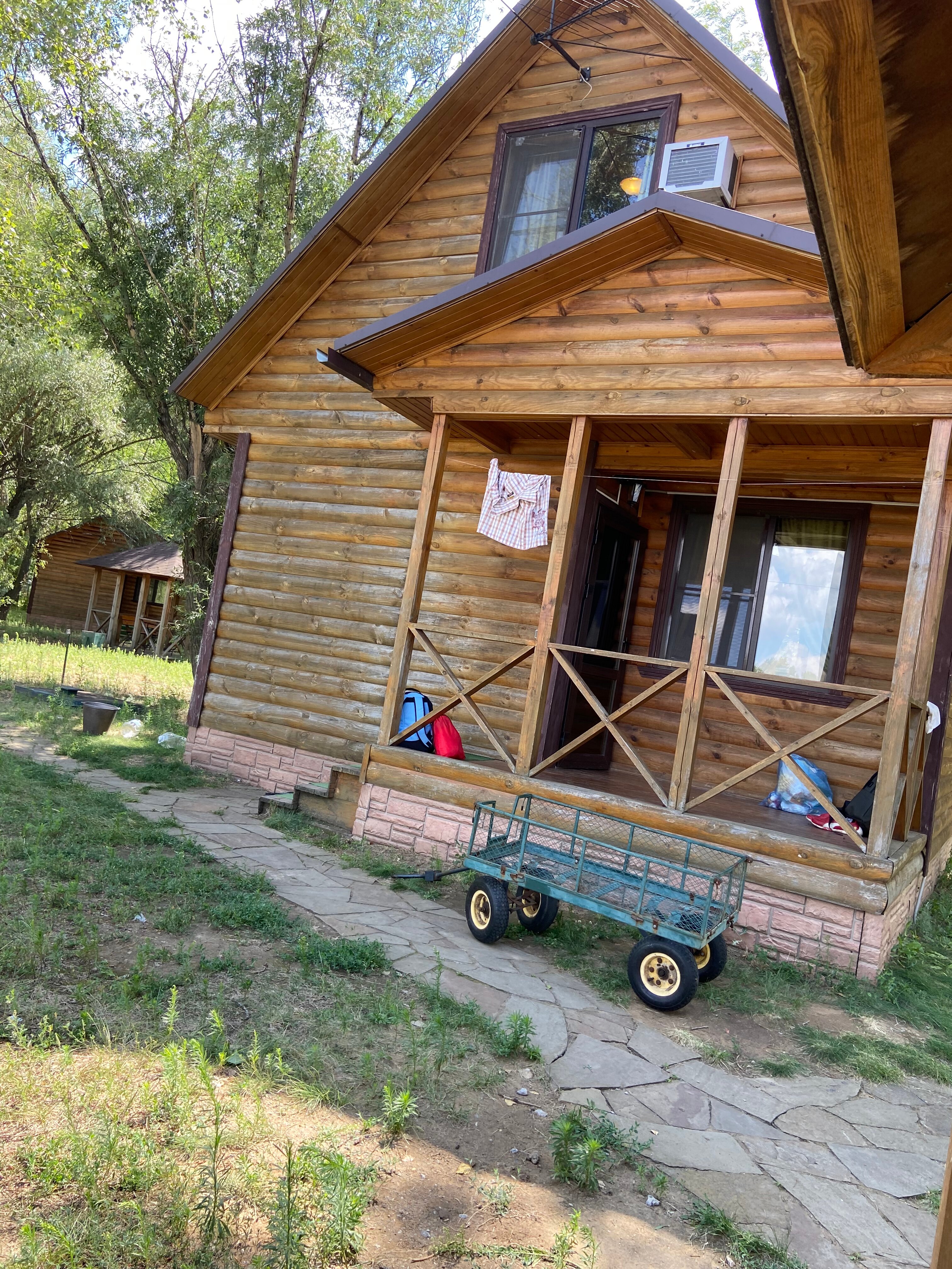 Фото Лесная