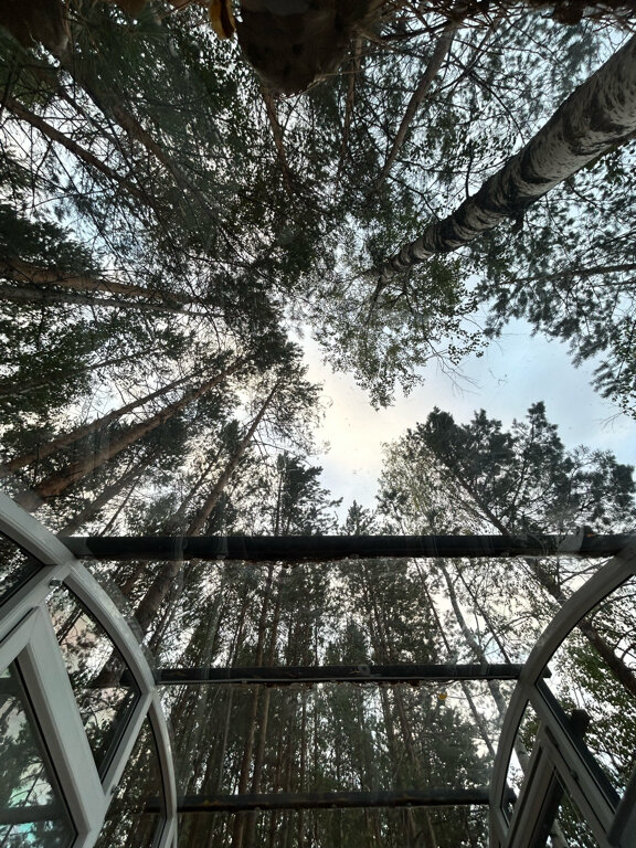 Фото Отель «Оланга»