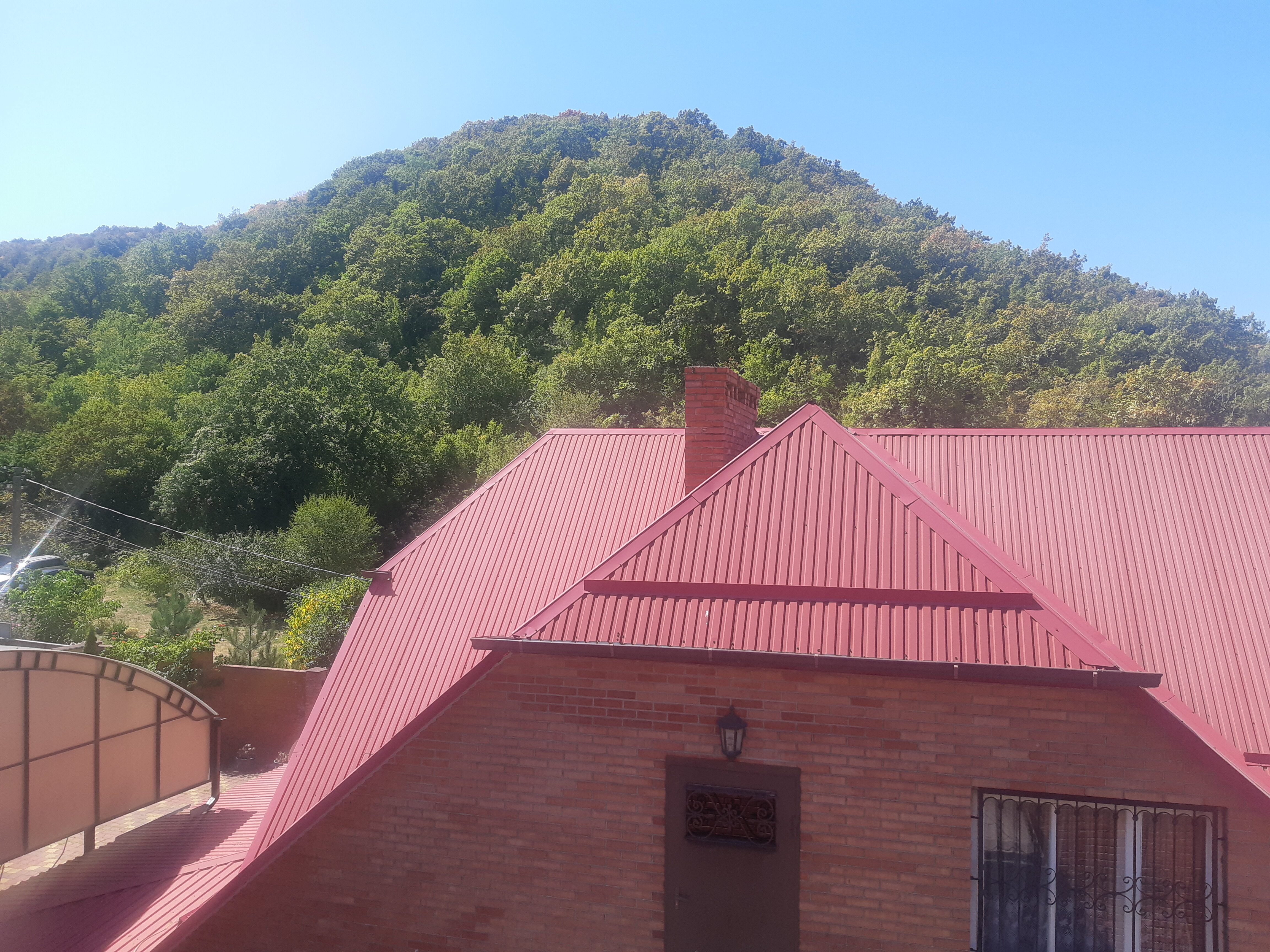 Фото Бугенвиллея