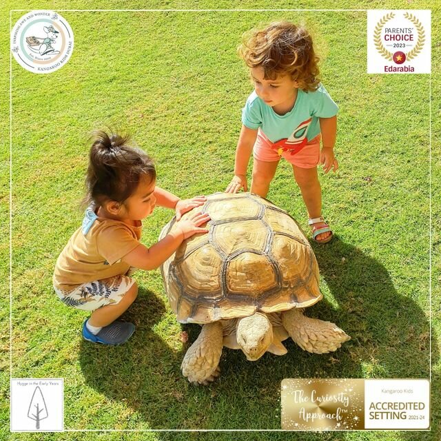 Kindergarten, nursery Kangaroo Kids Nursery, Dubai, photo